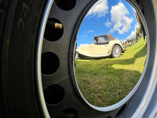 Falcon reflected in hub cap