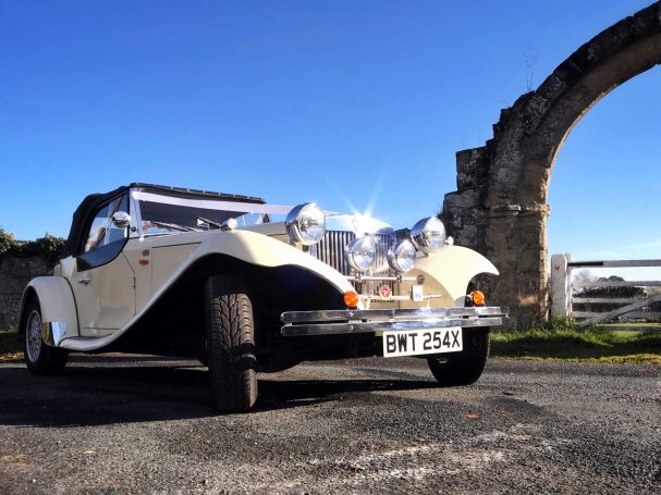 JBA Falcon at Byland Abbey